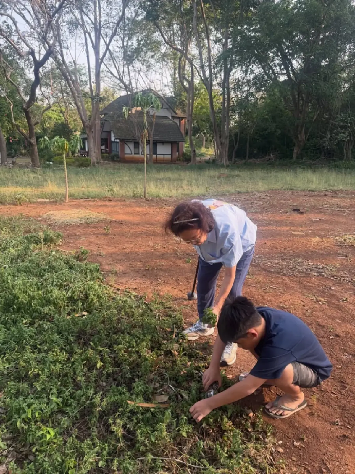 หมอโอ๊ค สมิทธิ์ พาลูกชาย เก็บผัก ชาวเน็ตแห่ชมแฝดพ่อชัดมาก