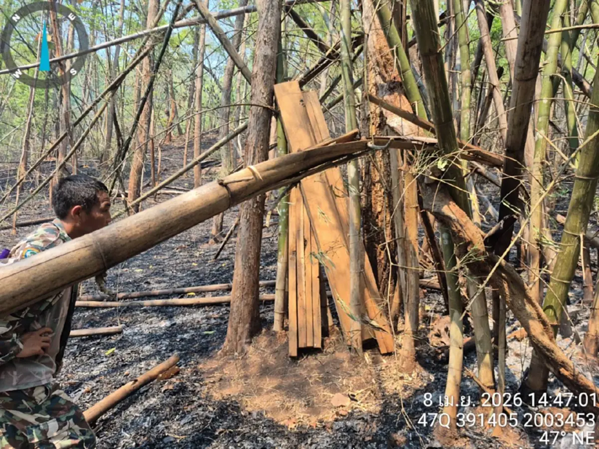 ดับไฟป่าเจอไม้สัก! แม่สะเรียงยึด 28 แผ่นเหลี่ยมซุกกอไผ่