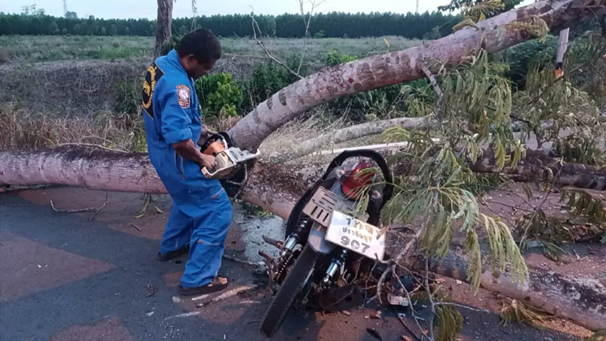 สลดกลางพายุ! หนุ่มโรงงาน ขี่รถกลับบ้าน ถูกกิ่งไม้ใหญ่โค่นฟาดดับ