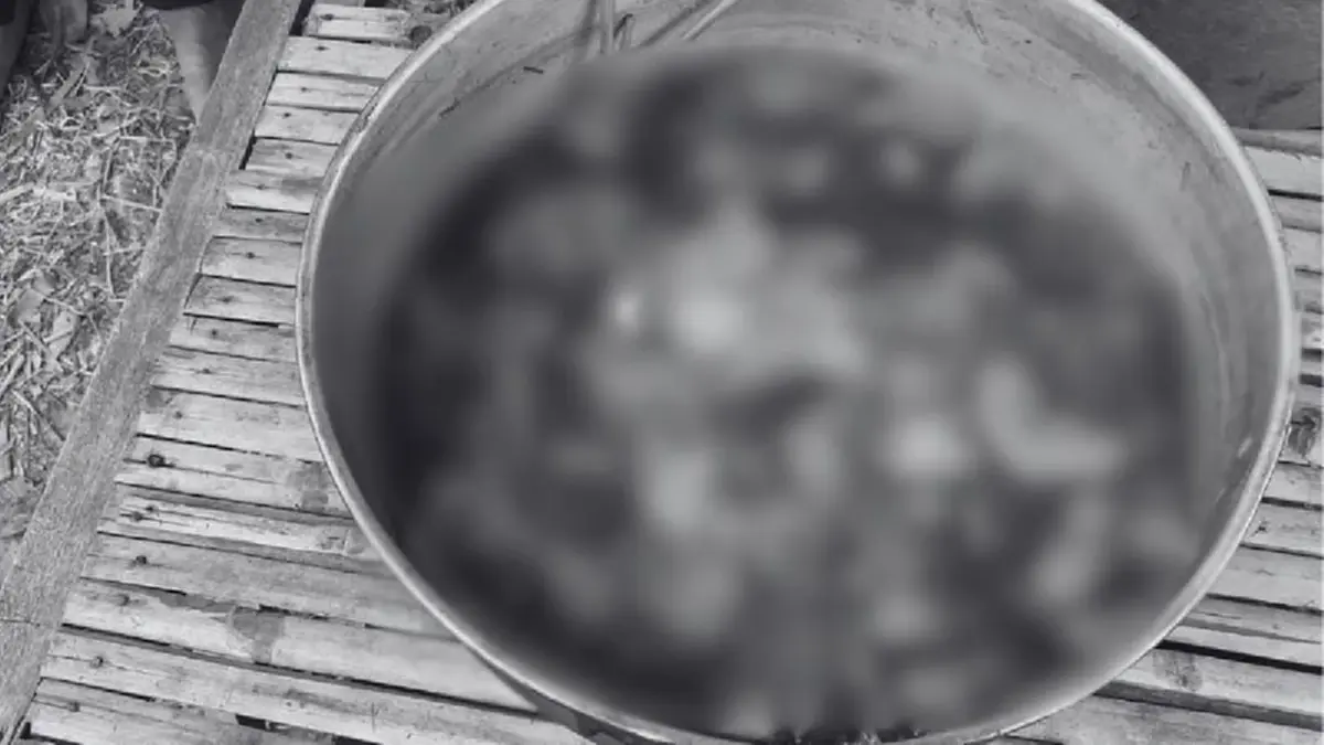 รวบคาเตา! ชายชำแหละเนื้อสุนัขอ้างเก็บซากมากิน ตรวจเจอฉี่ม่วง