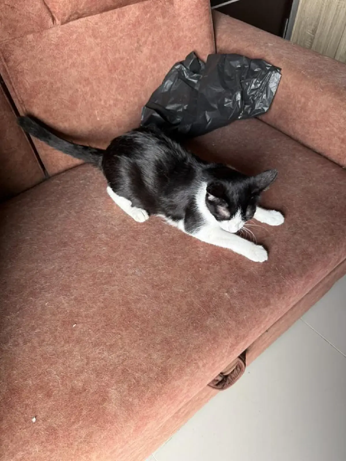 อ้วกแทบพุ่ง สาวสวยค้างค่าเช่า เปิดห้องไปเจอภาพสุดสยอง