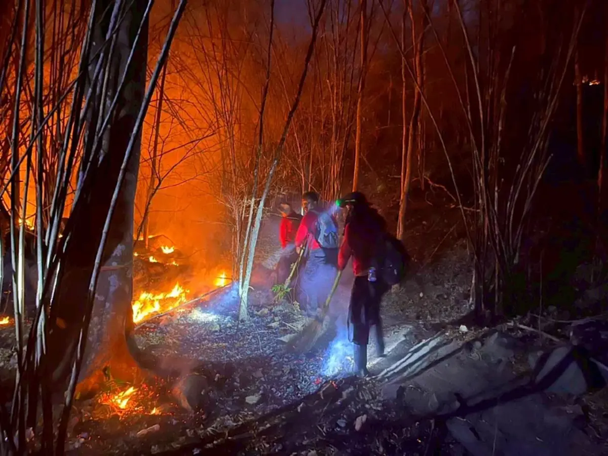 วิกฤติป่ามรดกโลก! ไฟไหม้ "แก่งกระจาน" เสียหายกว่า 1.1 หมื่นไร่