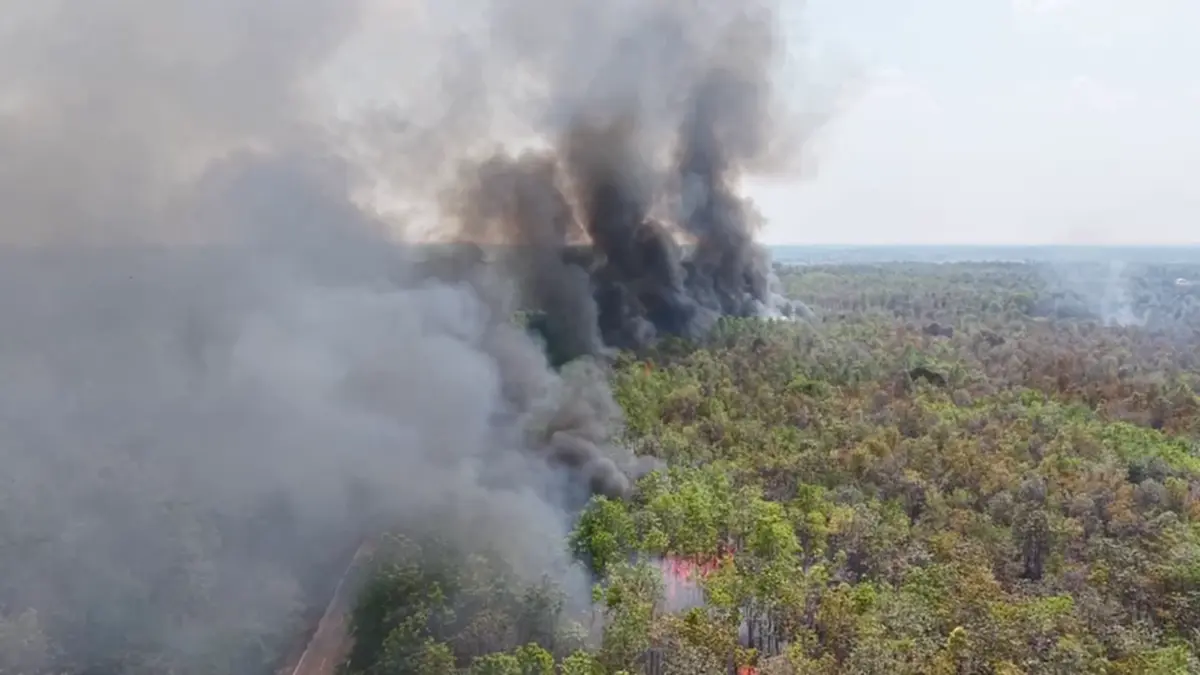 ไฟไหม้ป่าโคกหินลาดวอด 500 ไร่ สัตว์ป่าหนีตาย-คาดมือเผาหาของป่า