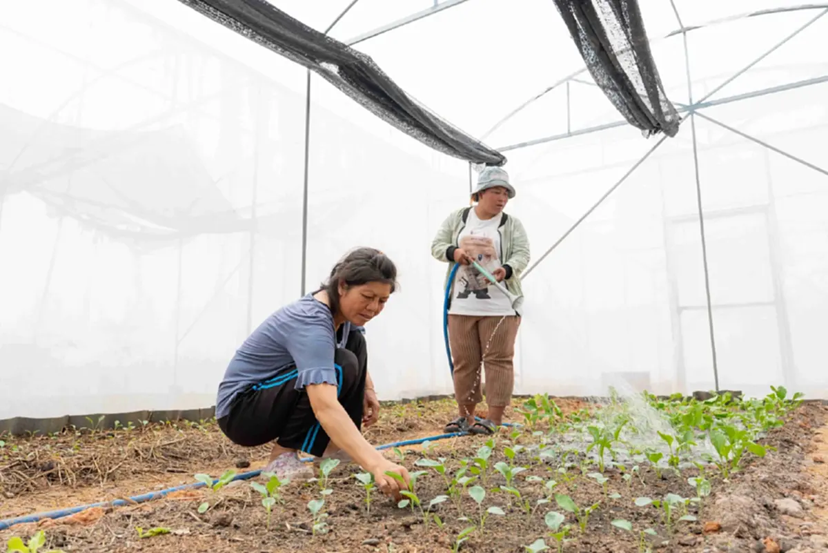 GULF ผนึก ปิดทองหลังพระฯ ชูความเชี่ยวชาญด้านพลังงานหมุนเวียน