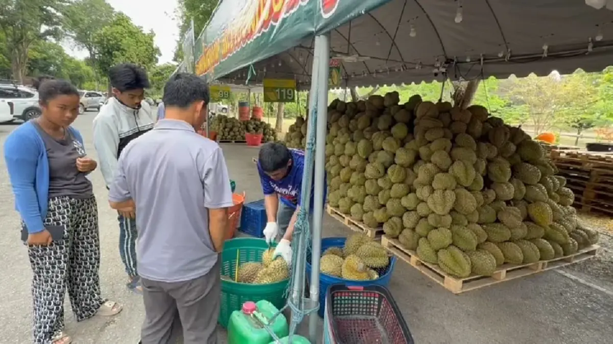อยุธยาคึกคัก! แห่ต่อคิวซื้อทุเรียนลูกละ 1 บาท ช่วยเกษตรกร