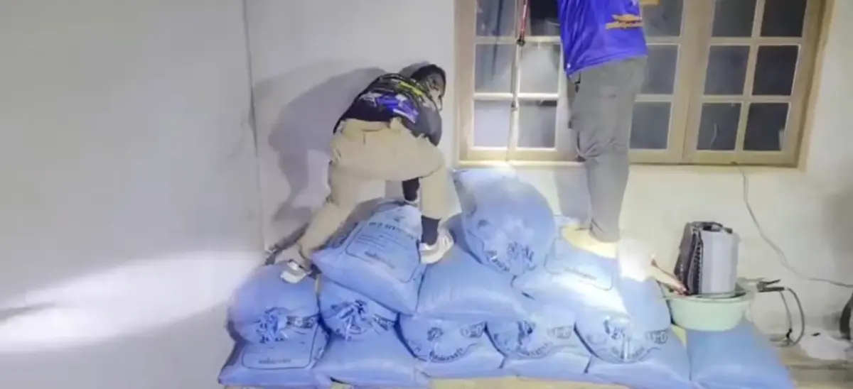 ส่องบ้านเลขที่ งูจงอางยักษ์ ยาวกว่า 3 เมตรบุก เลื้อยซุกมุมบ้าน