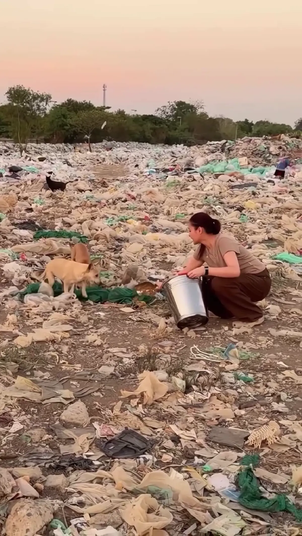 ปุ๊กลุก-ไมค์ ควงคู่ลุยคลองหลวง เลี้ยงอาหารหมาจรนับร้อย