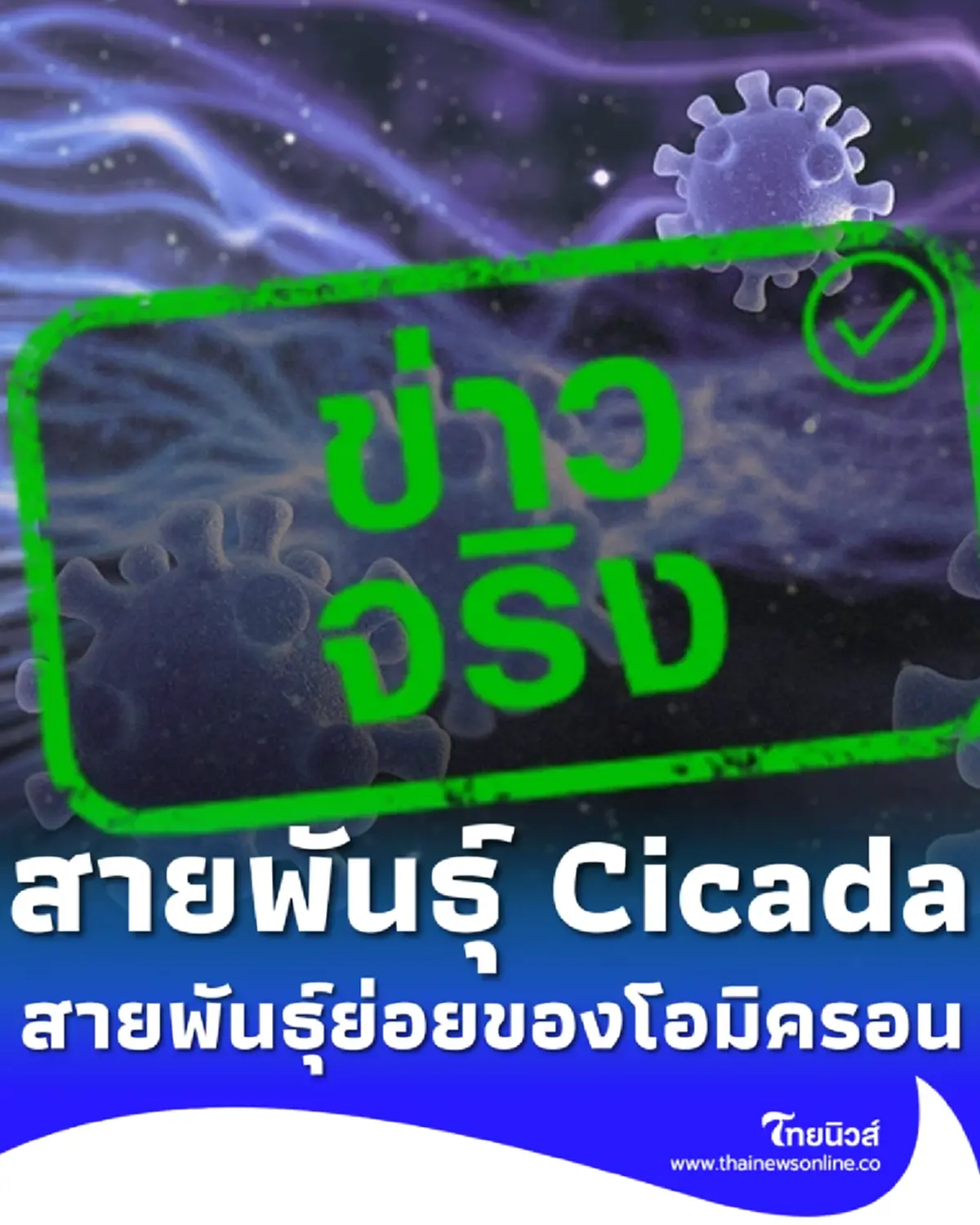 รู้จักโควิดสายพันธุ์ Cicada BA.3.2 คืออะไร น่ากังวลแค่ไหน