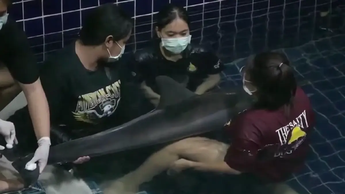 ภาพ @Phuket Aquarium