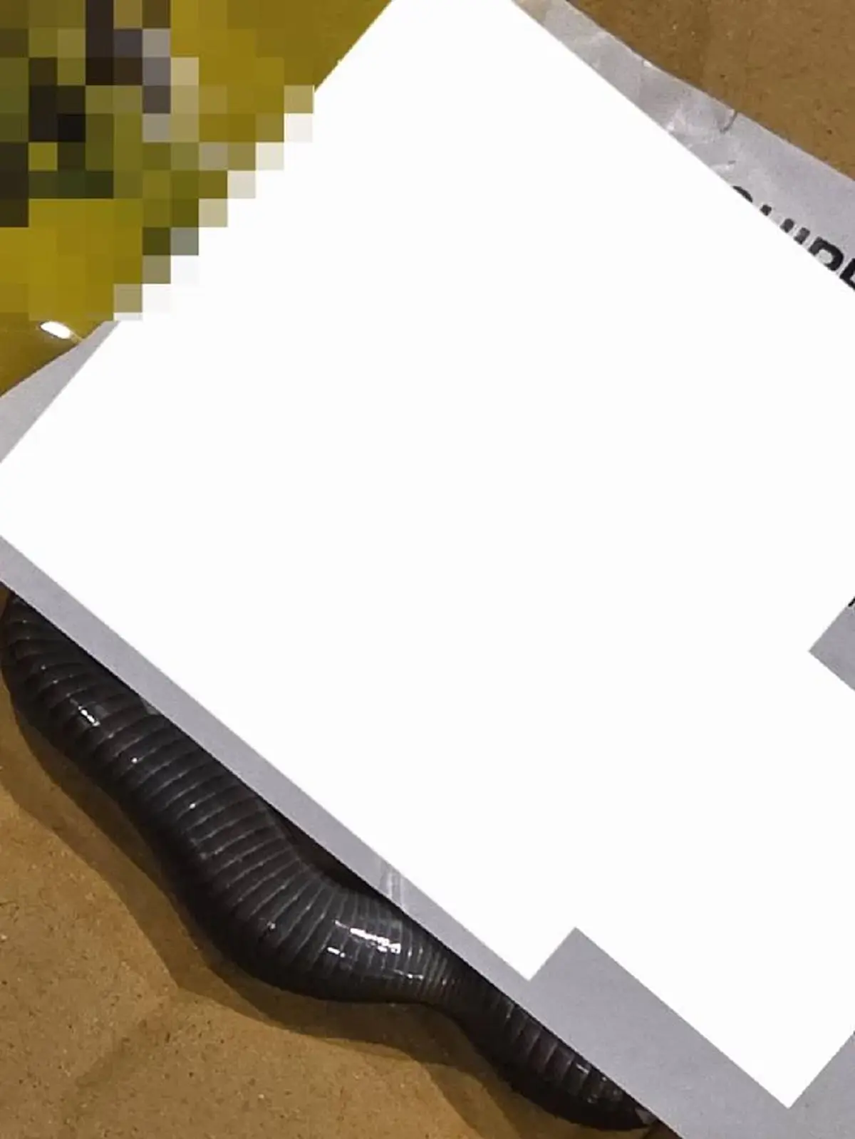 ลูกค้าเจอสัตว์หน้าแบ๊วติดมากับพัสดุ ขนลุก รู้ว่าน้องมาได้ยังไง