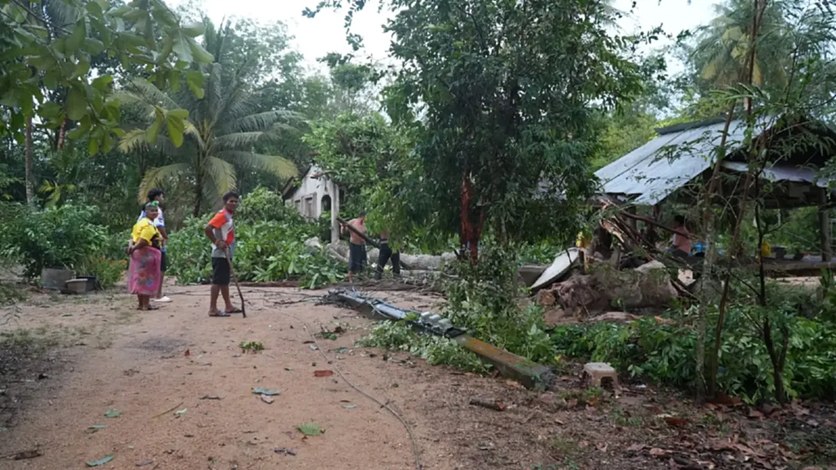 ลมหัวด้วนถล่มป่าบอน! บ้านพังร้อยหลัง พัทลุงเร่งกู้ซากช่วยด่วน