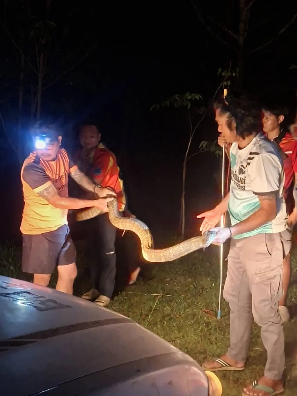 ส่องเลขที่บ้าน งูจงอางยักษ์ 4 เมตร บุกเลื้อยเข้าบ้าน ลุ้นจับระทึก 