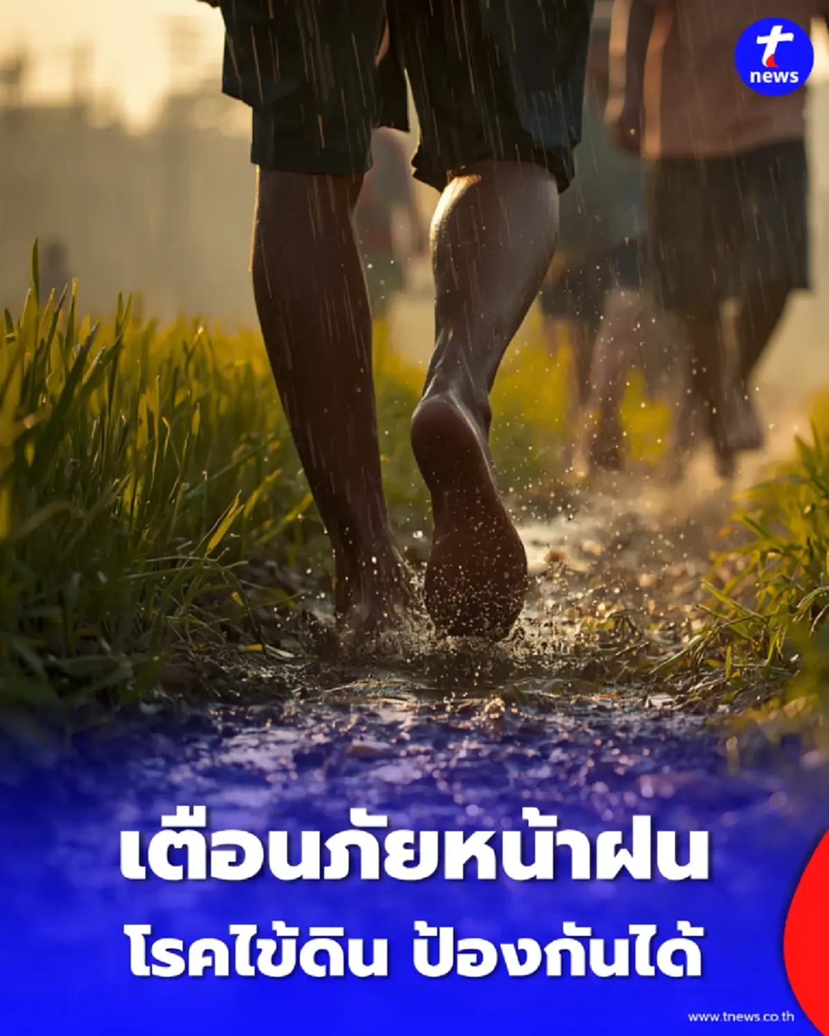 ทำไมหน้าฝนไม่ควรเดินเท้าเปล่า รู้จัก โรคไข้ดิน ภัยเงียบที่ป้องกันได้