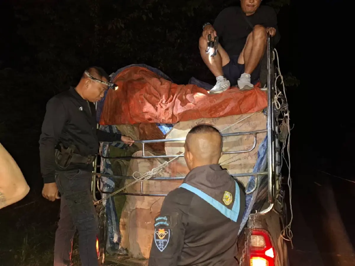 พยายามยัดเงินหวังรอด! รวบหนุ่มรับจ้างขนไม้ประดู่เถื่อนกลางดึก