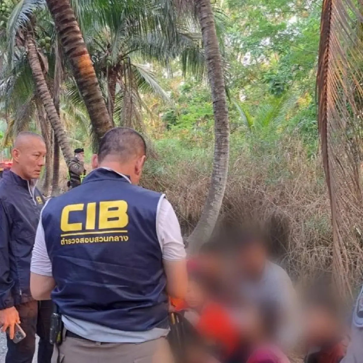 ซิ่งหนีด่านไม่รอด! รวบ 12 ต่างด้าว อัดแน่นเก๋ง พุ่งชนต้นมะพร้าว