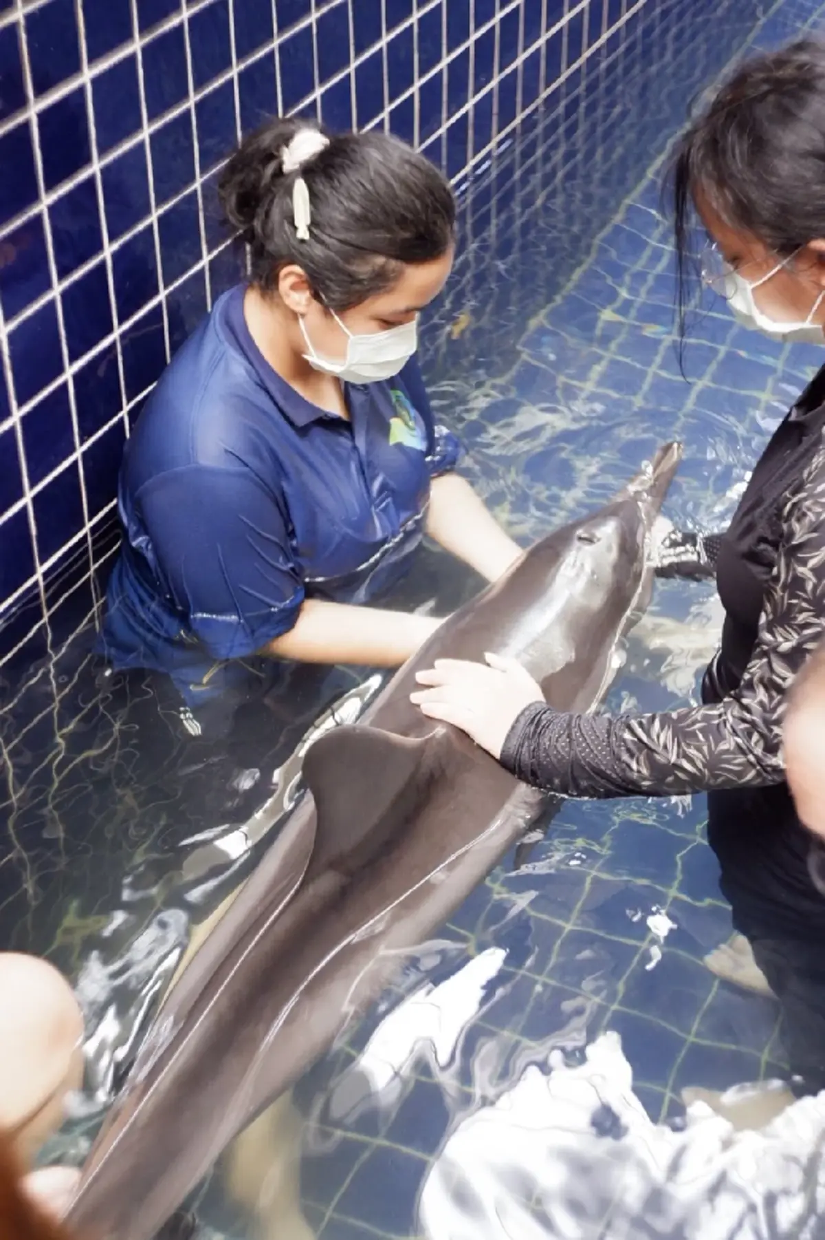 ภาพ @Phuket Aquarium