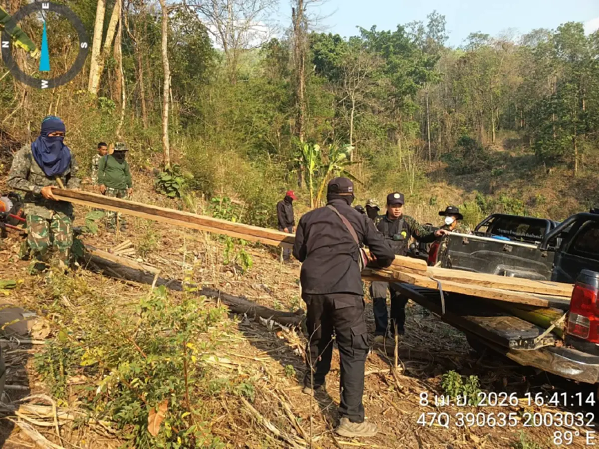 ดับไฟป่าเจอไม้สัก! แม่สะเรียงยึด 28 แผ่นเหลี่ยมซุกกอไผ่