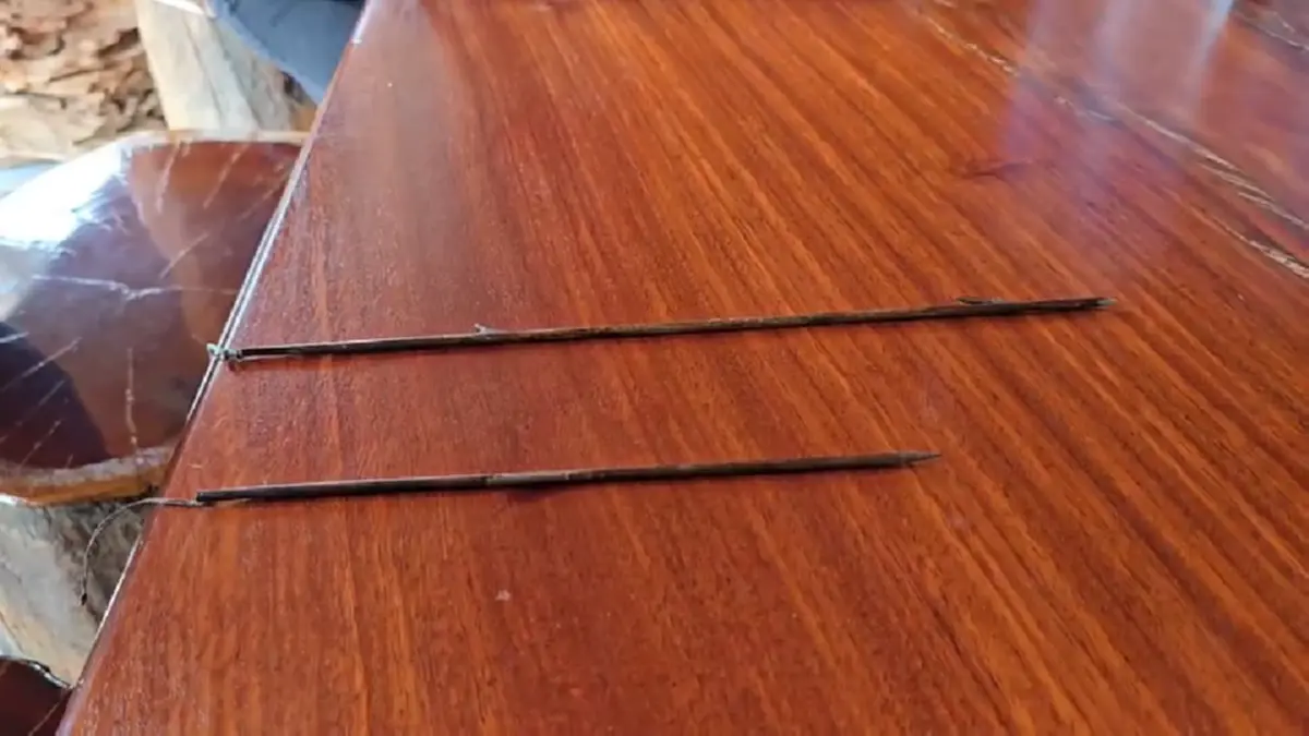 สายไหมต้องรอดล่า 2 หนุ่มยิงคอหมาสาหัส ผิด พ.ร.บ.สัตว์ คุก 2 ปี