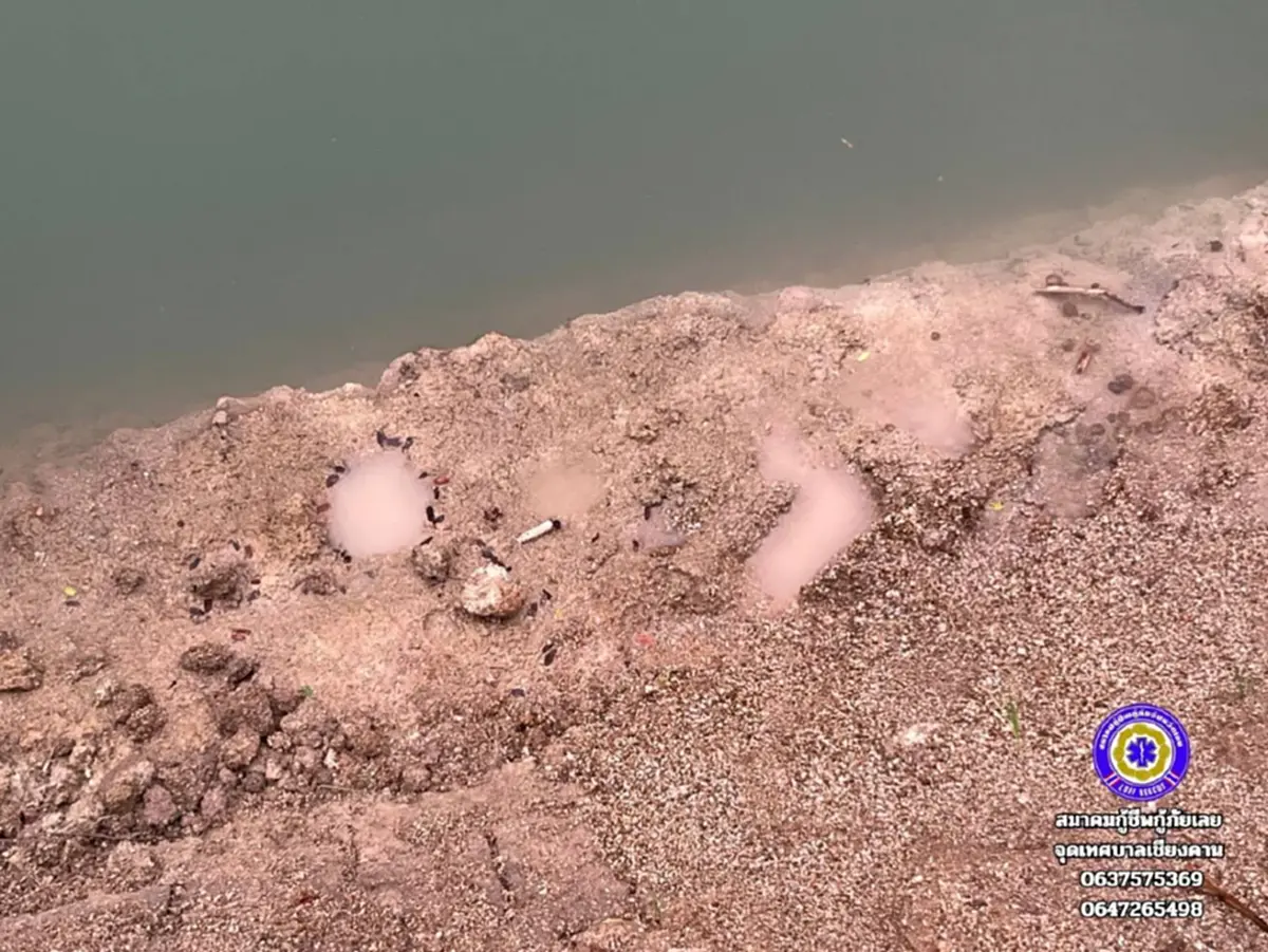 เจอแล้ว ด.ช. 4 ขวบ หายตัวปริศนา พ่อแม่ใจสลายหลังเห็นร่องรอยตามตัว