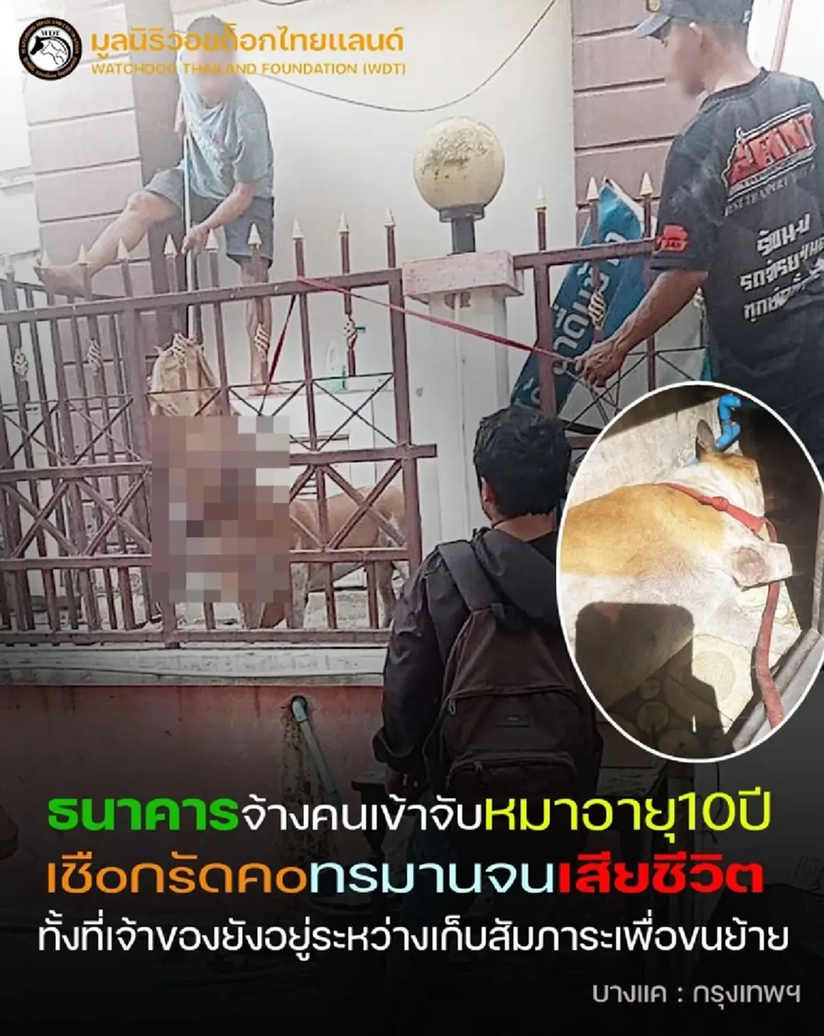 แจ้งจับ 3 ข้อหาหนัก พนง.ตามหนี้ จ้างคนจับหมาบ้านถูกยึด ทำดับคามือ