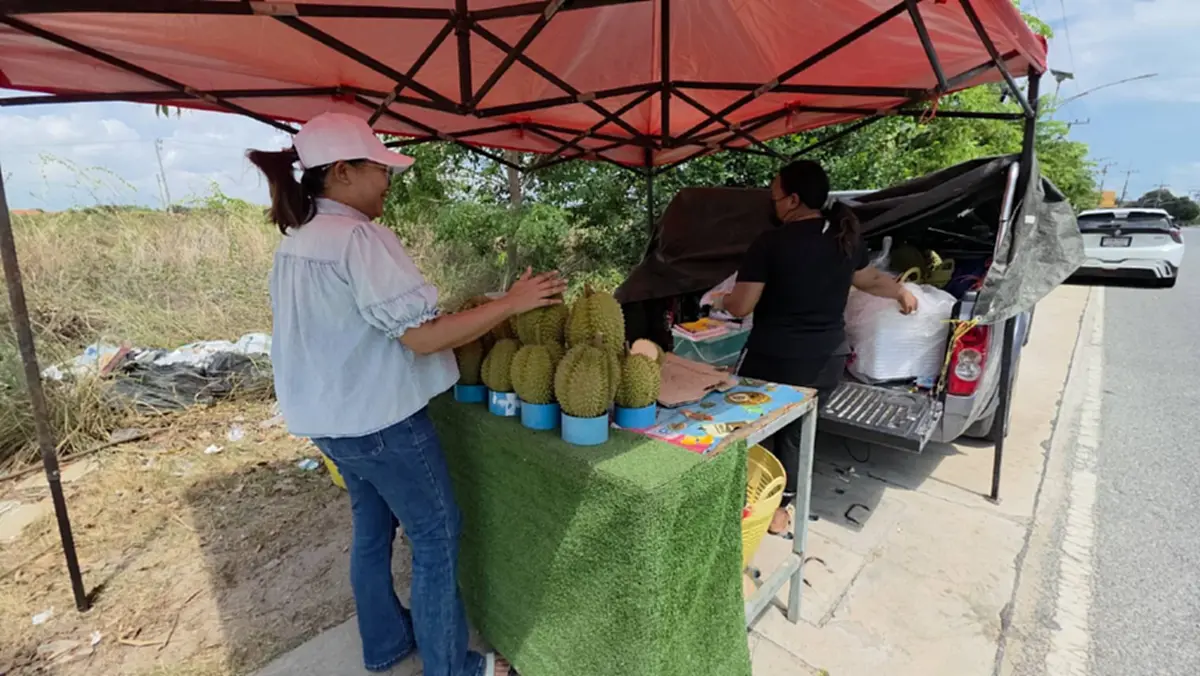 ทุเรียนร้อยเดียวทำพิษ! แม่ค้านั่งตบยุง ลูกค้าเมินรอเอฟออนไลน์