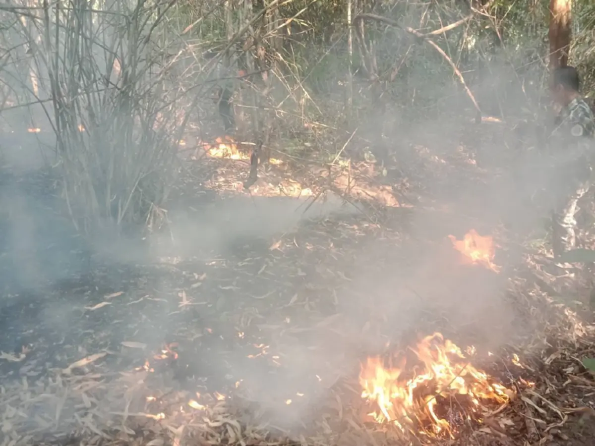 เลยอ่วม! PM2.5 พุ่งเกินมาตรฐาน ไฟป่าลุกลามหลายพื้นที่