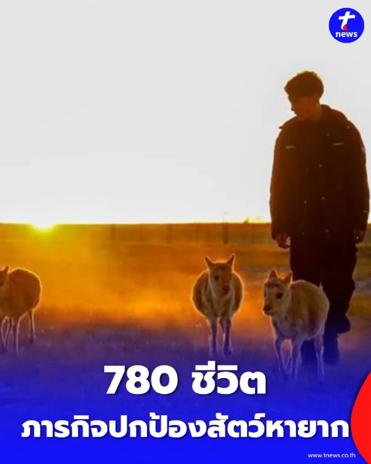 780 ชีวิตกับภารกิจปกป้องสัตว์หายาก ในสวรรค์กลางป่าซีจ้าง
