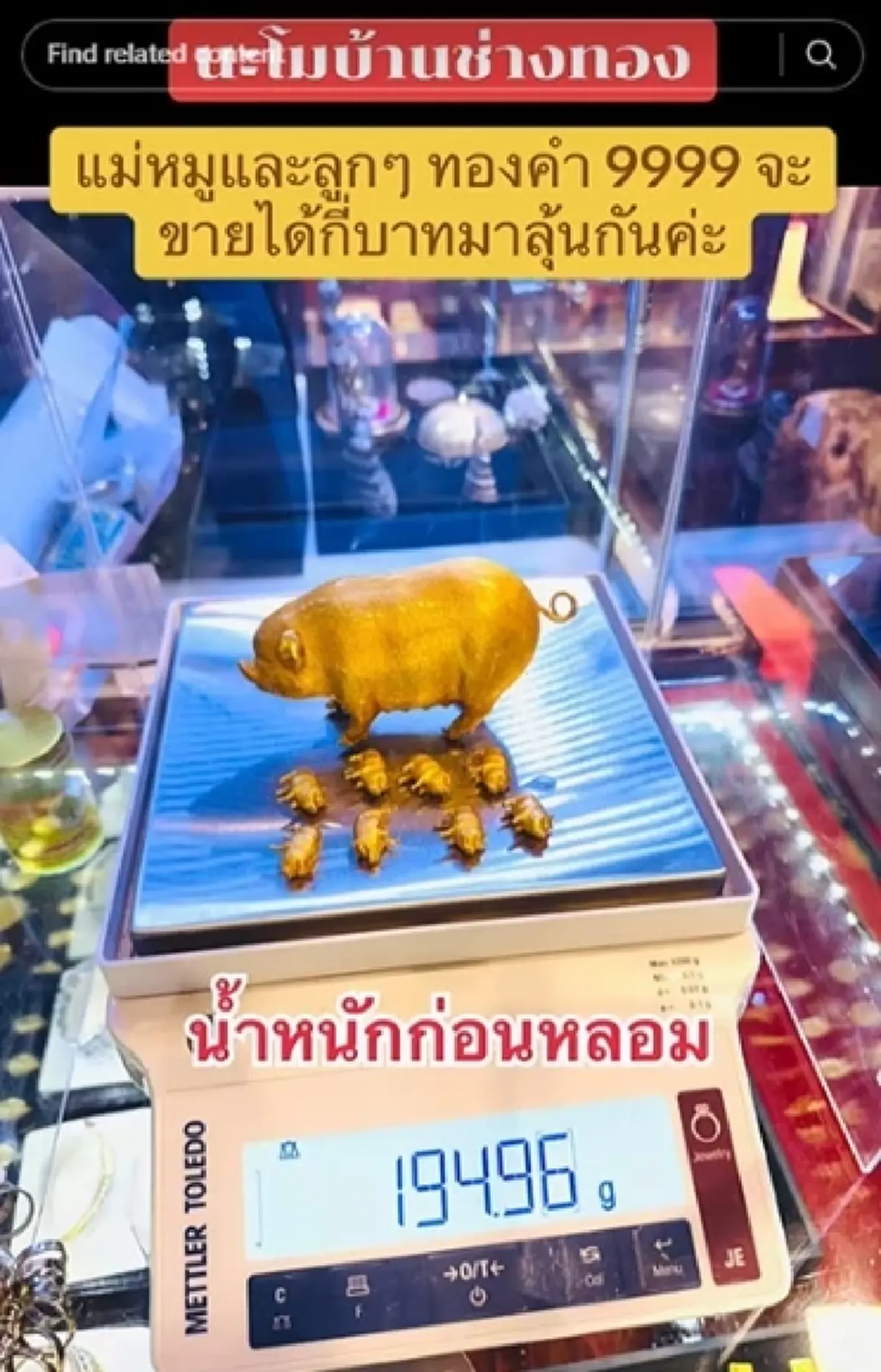 ลูกค้านำ ครอบครัวหมูทองคำ มองเผินๆ ดูน่ารัก ตีราคาออกมา ทุกคนตกใจ