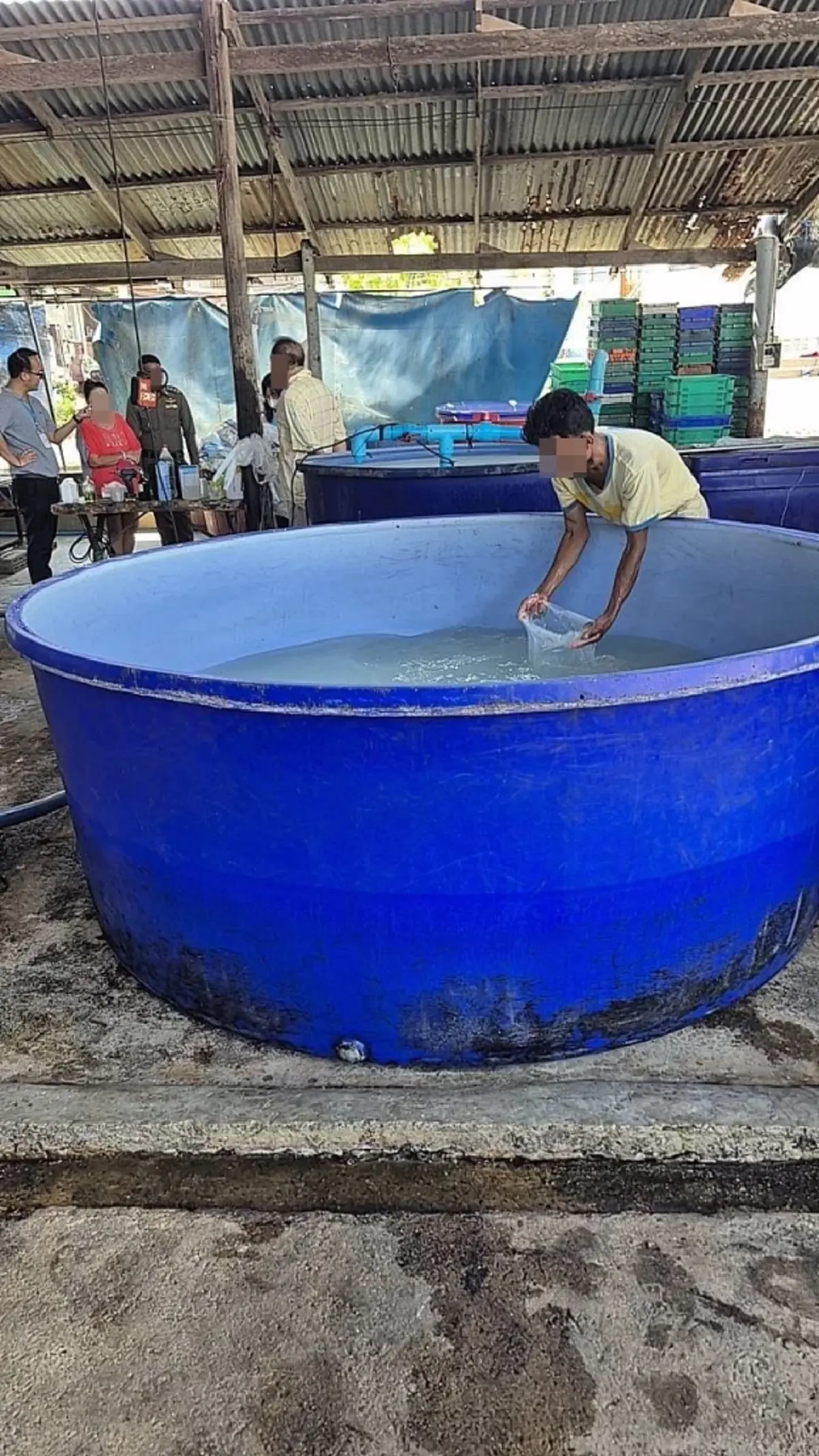 อ้วกพุ่ง บุกล้งน้ำมะพร้าวปลอม ผสมน้ำบาดาลแต่งกลิ่น ส่งขายทั่ว