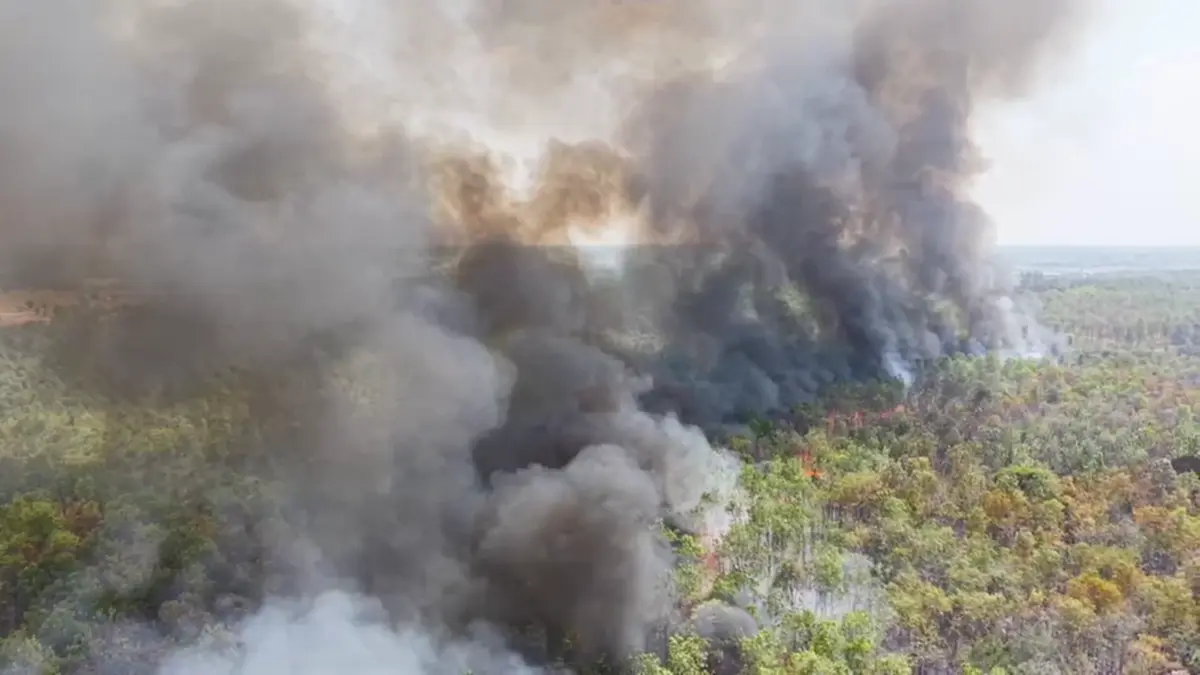 ไฟไหม้ป่าโคกหินลาดวอด 500 ไร่ สัตว์ป่าหนีตาย-คาดมือเผาหาของป่า