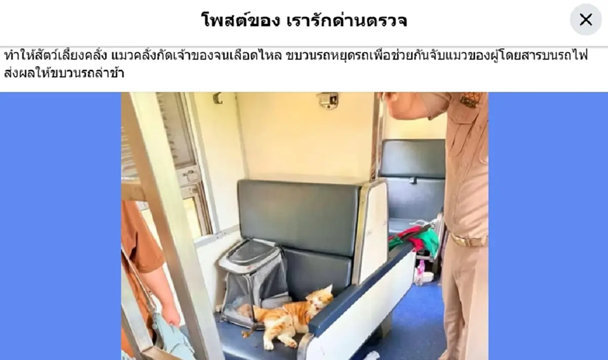 แมวส้มไล่กัดเจ้าของ เจ็บหนักบนรถไฟ รู้สาเหตุอาละวาดน่าเห็นใจ