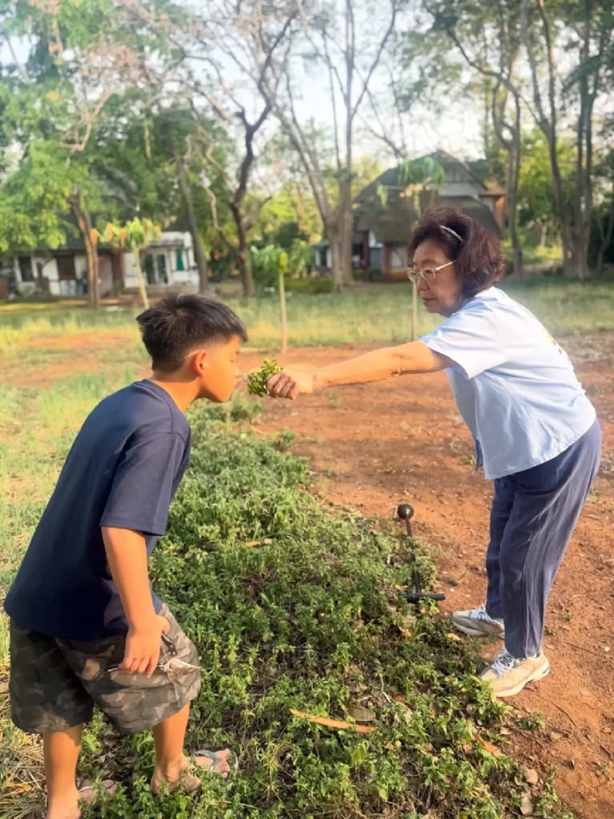 หมอโอ๊ค สมิทธิ์ พาลูกชาย เก็บผัก ชาวเน็ตแห่ชมแฝดพ่อชัดมาก