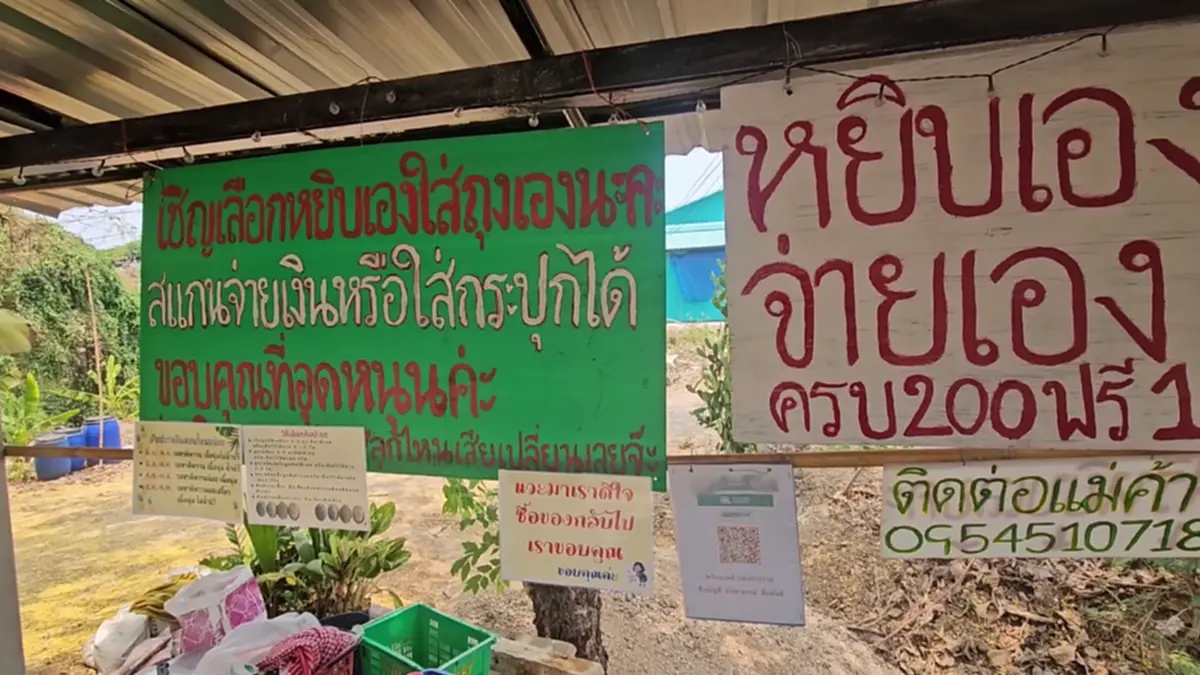 มิติใหม่! ร้านสับปะรดไร้คนเฝ้า 24 ชม. หยิบเองจ่ายเองวัดใจลูกค้า
