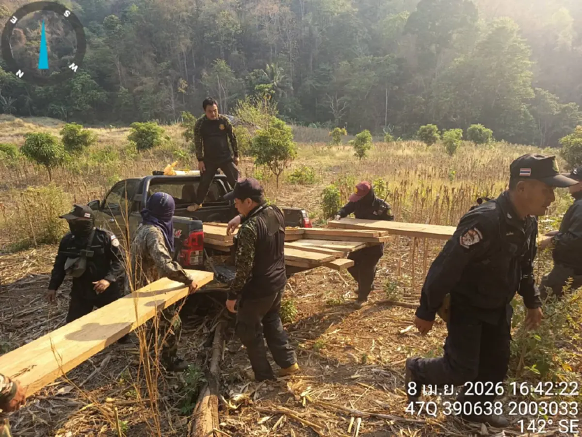 ดับไฟป่าเจอไม้สัก! แม่สะเรียงยึด 28 แผ่นเหลี่ยมซุกกอไผ่