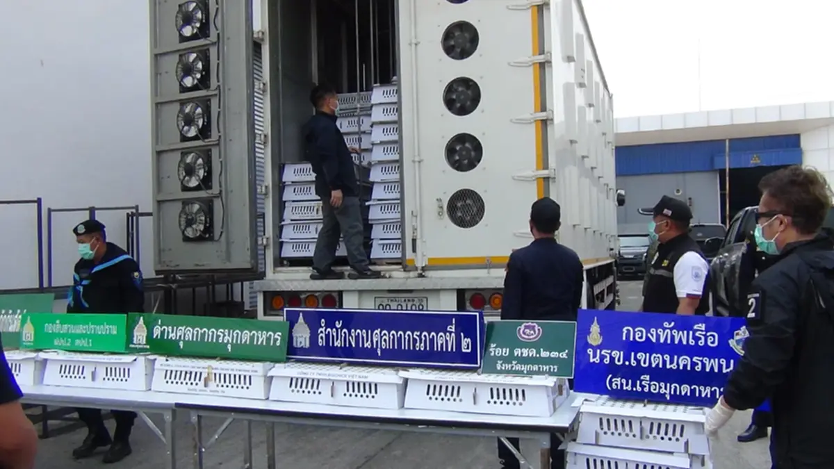 สกัดจับรถ 6 ล้อ ขนลูกไก่เถื่อนเวียดนามนับหมื่นตัวส่งอำนาจเจริญ