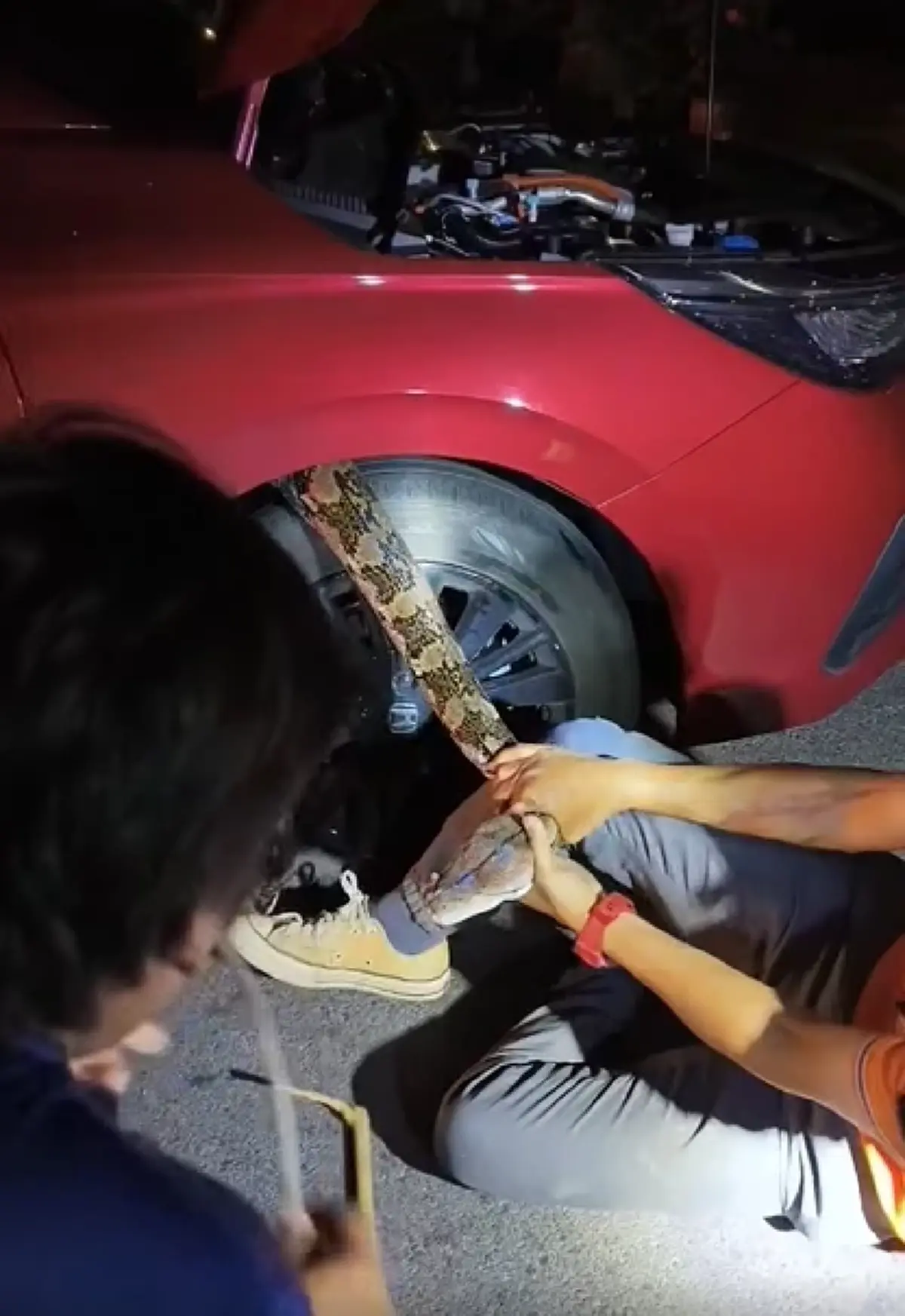 เลขทะเบียนรถงูเหลือมมุดเข้าไปซ่อนใต้ท้องรถเก๋งจอดอยู่ข้างทาง