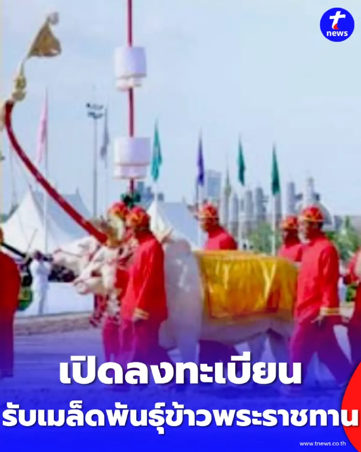 เปิดลงทะเบียนรับเมล็ดพันธุ์ข้าวมงคล 2569 เช็กวิธีและจุดรับที่นี่