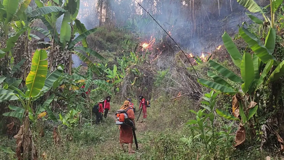 'พระครูอ๊อด' นำทีมลุยดับไฟป่า โพสต์เศร้าเจ็บปวดรักษาป่าไม่ได้
