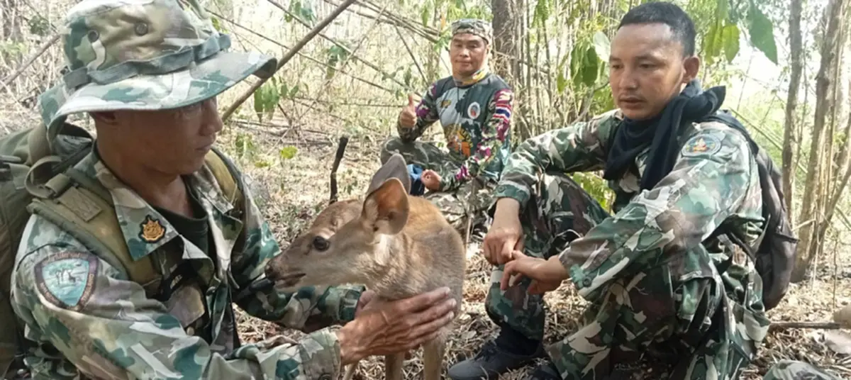 ฮีโร่กลางไฟป่า! ช่วยลูกกวางวัย 2 สัปดาห์ รอดหวุดหวิดจากเปลวเพลิง
