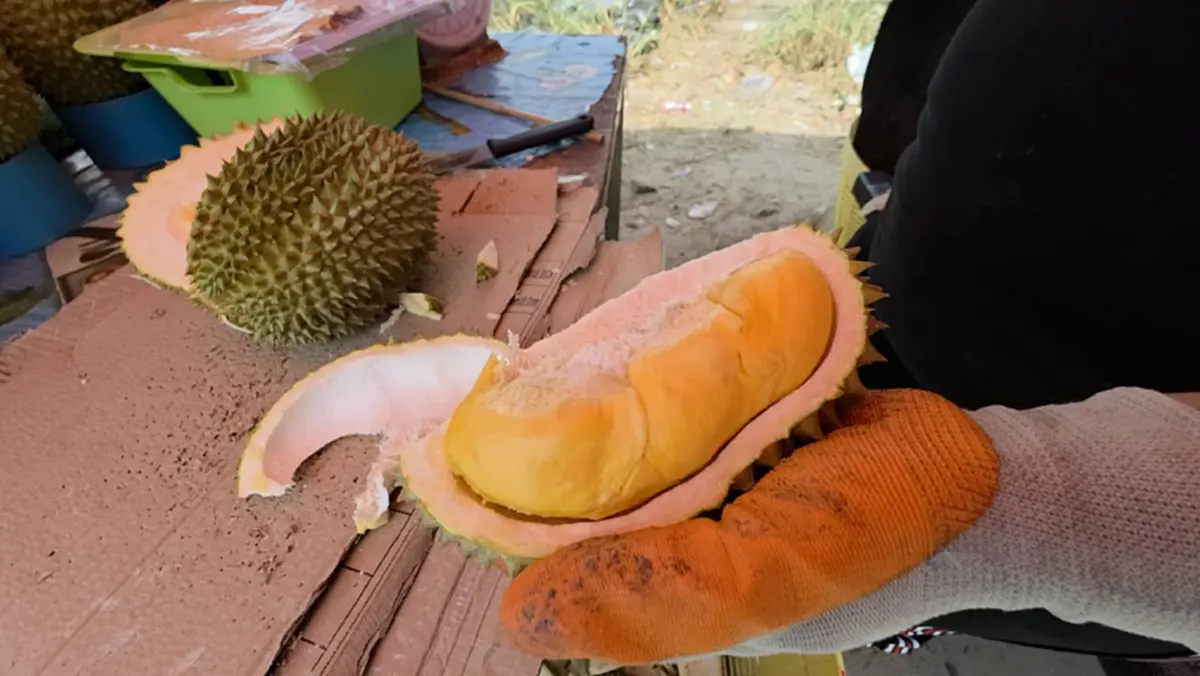 ทุเรียนร้อยเดียวทำพิษ! แม่ค้านั่งตบยุง ลูกค้าเมินรอเอฟออนไลน์