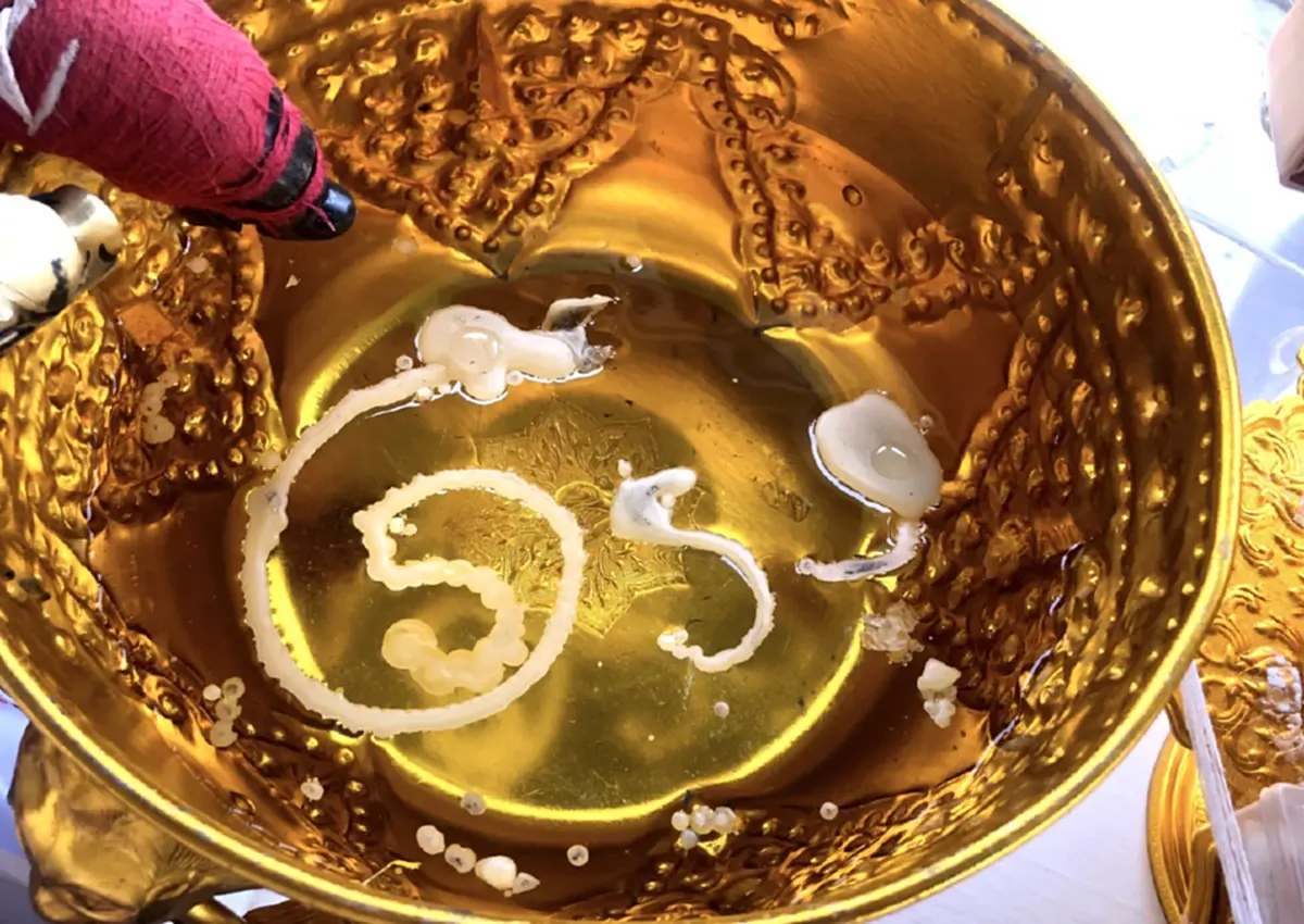 ฮือฮา! บวงสรวงมหานาคราชกาฬสินธุ์ เผยภาพในขันน้ำมนต์!