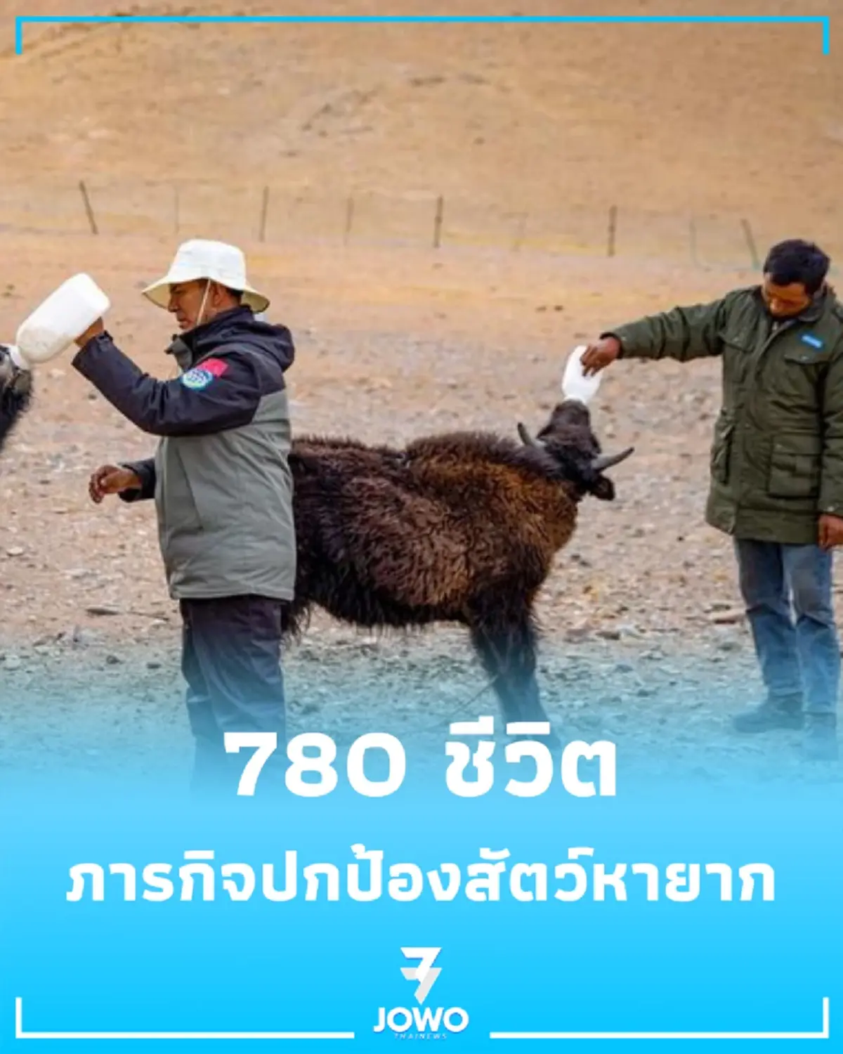 780 ชีวิตกับภารกิจปกป้องสัตว์หายาก ในสวรรค์กลางป่าซีจ้าง