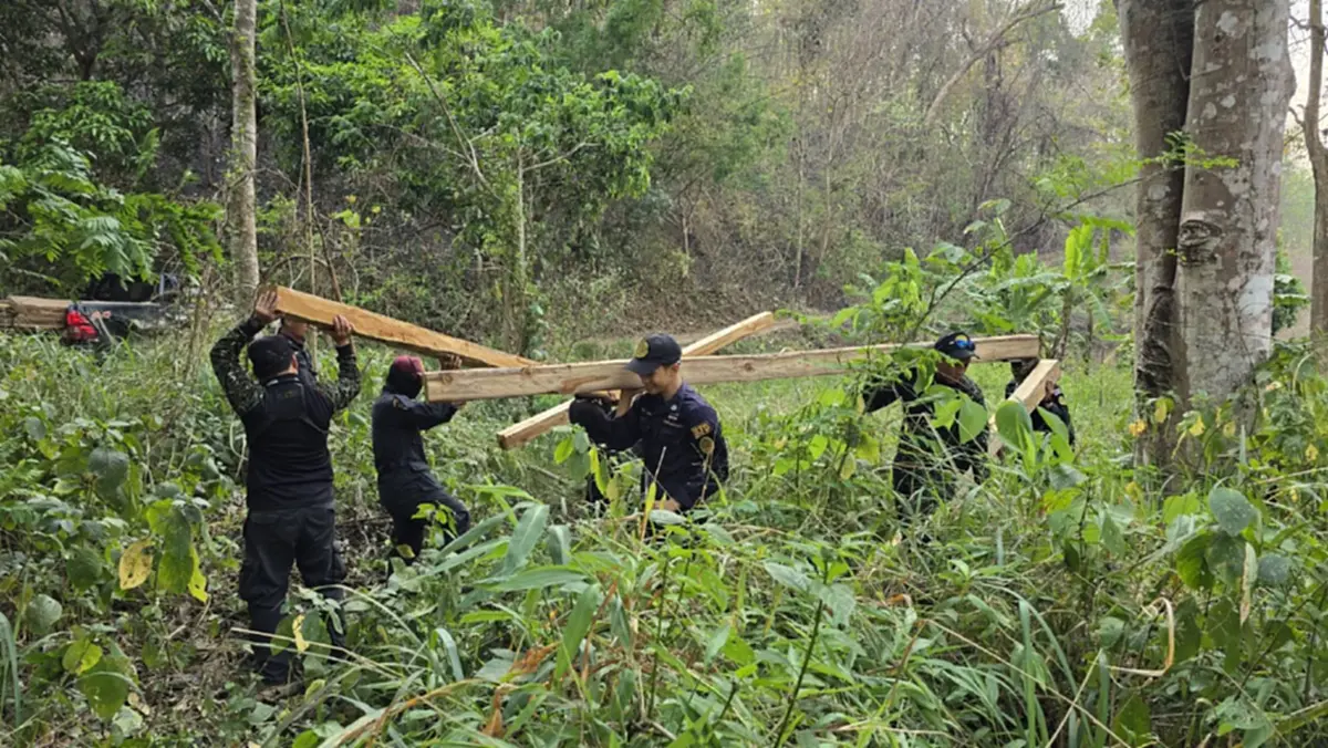 ดับไฟป่าเจอไม้สัก! แม่สะเรียงยึด 28 แผ่นเหลี่ยมซุกกอไผ่