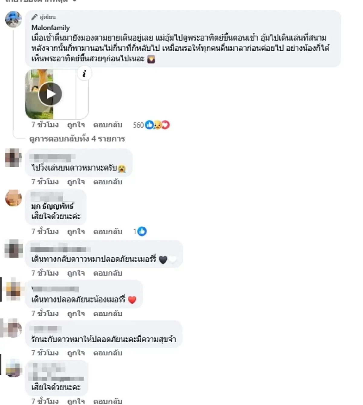 "เมอร์รี่" กลับดาวหมาแล้ว เศร้าใจนาทีสุดท้าย ก่อนหลับไปตลอดกาล