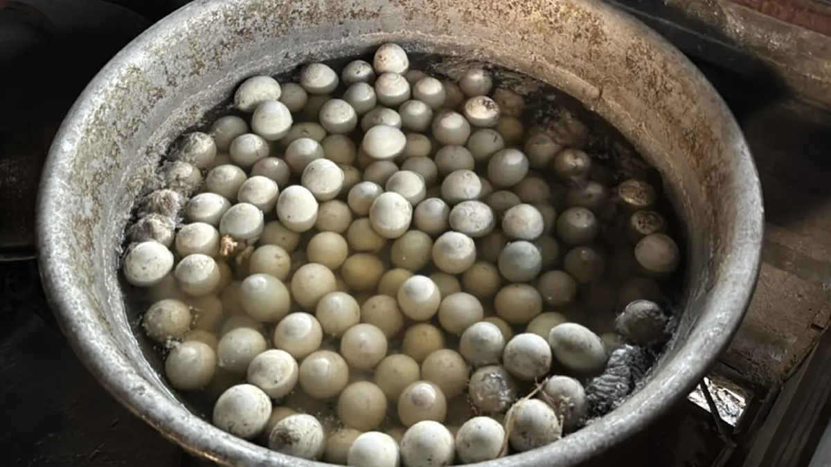 ทลายโกดังชายแดนอรัญฯ! รวบ 3 เอเย่นต์ ลอบขน "ไข่เป็ด-สินค้าเถื่อน"