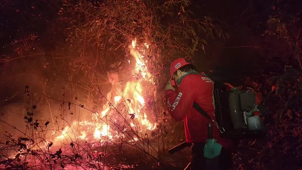 'พระครูอ๊อด' นำทีมลุยดับไฟป่า โพสต์เศร้าเจ็บปวดรักษาป่าไม่ได้