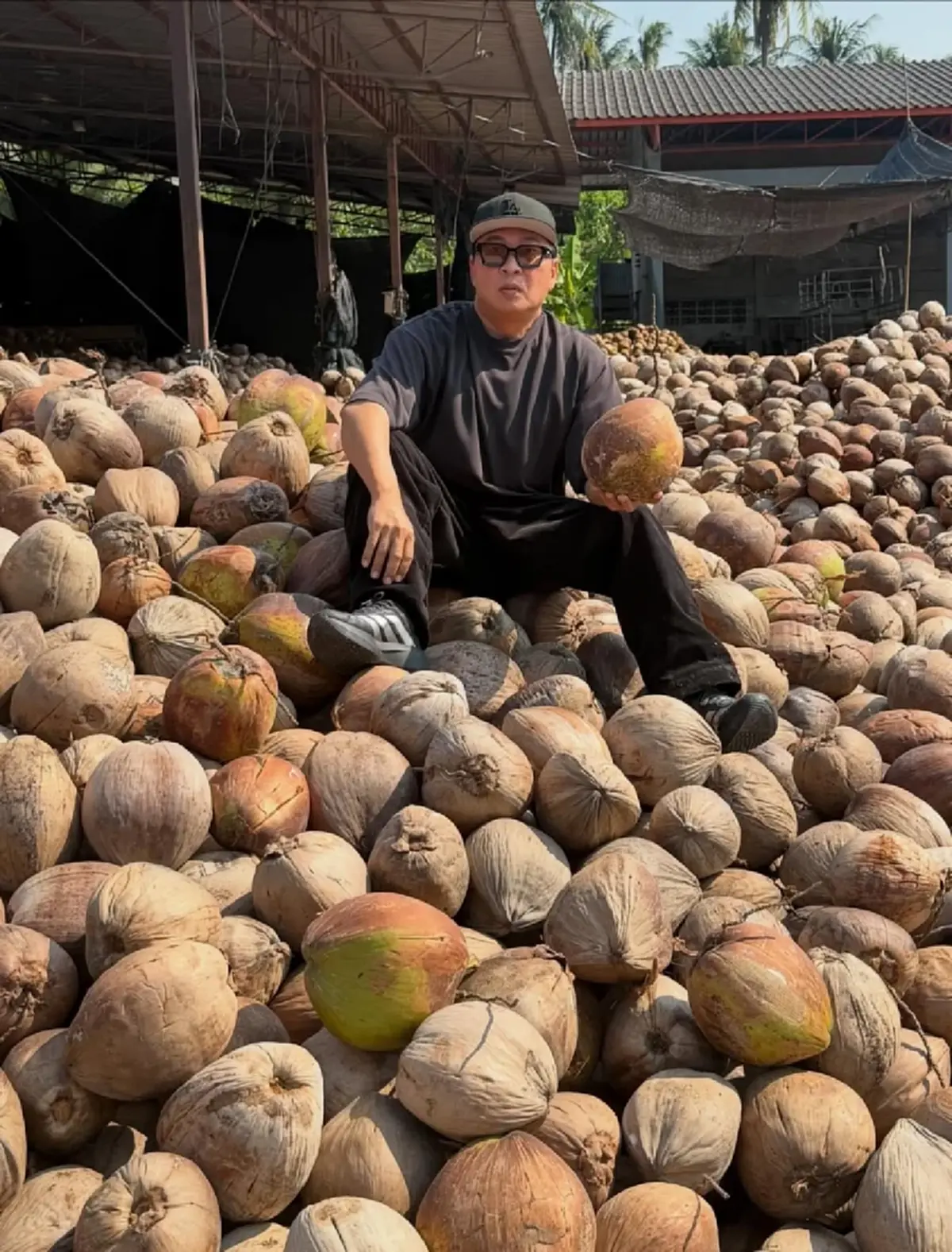 ใจถึงพึ่งได้ เปิ้ล นาคร รับซื้อมะพร้าวเดือนละแสนลูก ช่วยเกษตรกร