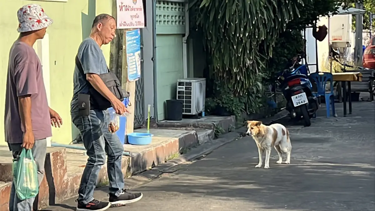 สะเทือนใจ! เจ้าของย้ายบ้านทิ้งหมาเฝ้าซอยปากเกร็ด สภาพสุดเวทนา