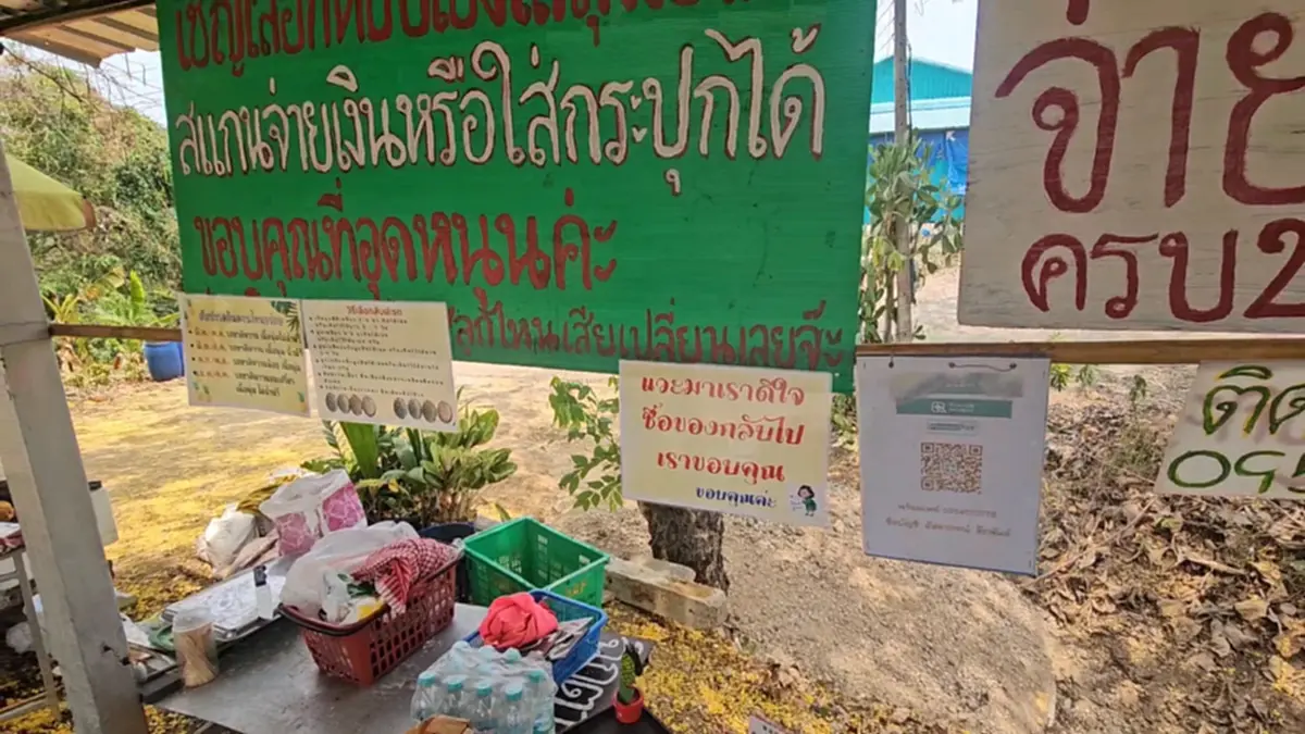 มิติใหม่! ร้านสับปะรดไร้คนเฝ้า 24 ชม. หยิบเองจ่ายเองวัดใจลูกค้า