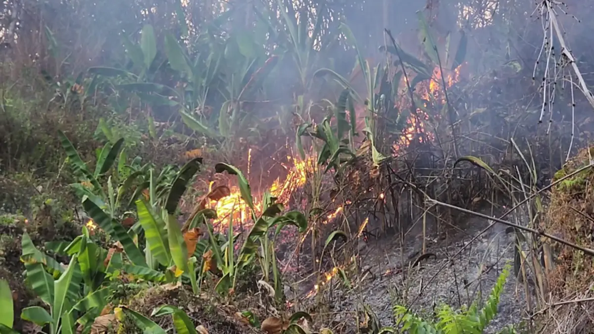 'พระครูอ๊อด' นำทีมลุยดับไฟป่า โพสต์เศร้าเจ็บปวดรักษาป่าไม่ได้